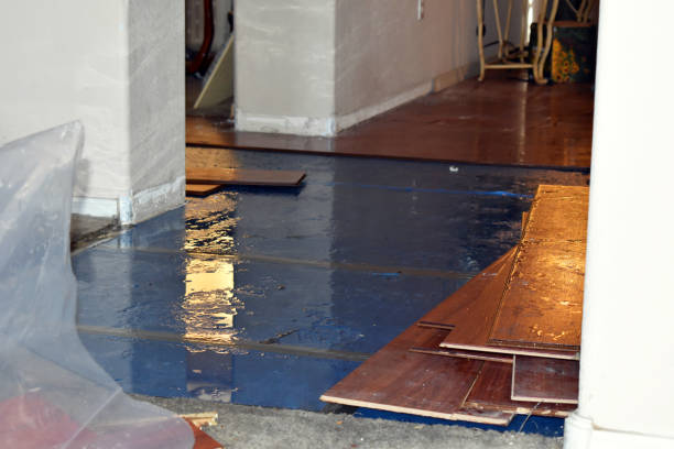 Professional Water Damage Restoration technician working in Chesterhill, OH