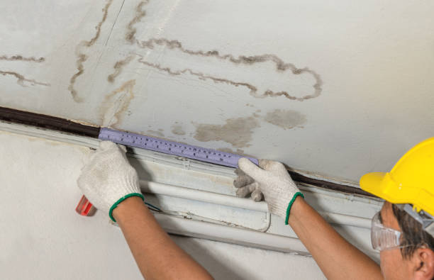 Reliable Water Damage Restoration contractor in Chesterhill, OH by Water Damage Irwin